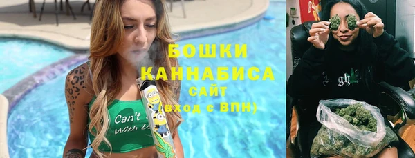 шишки Надым